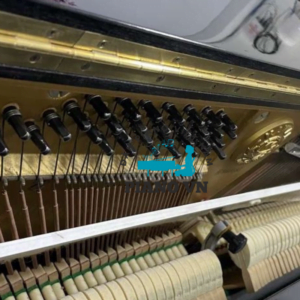 Đàn Piano Upright Cơ BL2