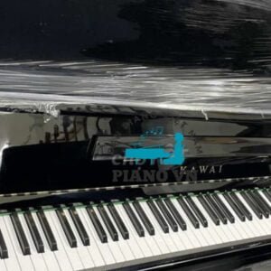 Đàn Piano Upright Cơ BL2