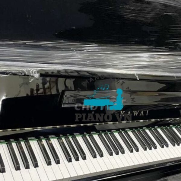 Đàn Piano Upright Cơ BL2
